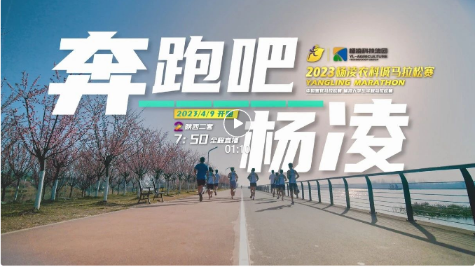 相約“楊馬” | 新賽道，新體驗！